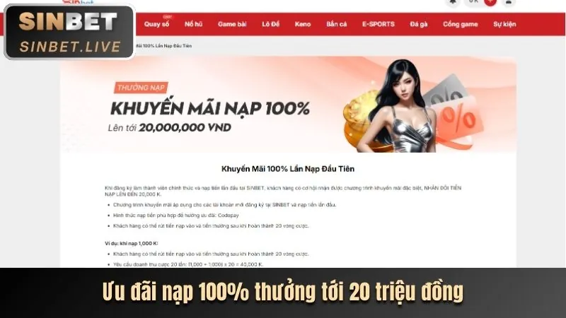 Cá cược thể thao vin55